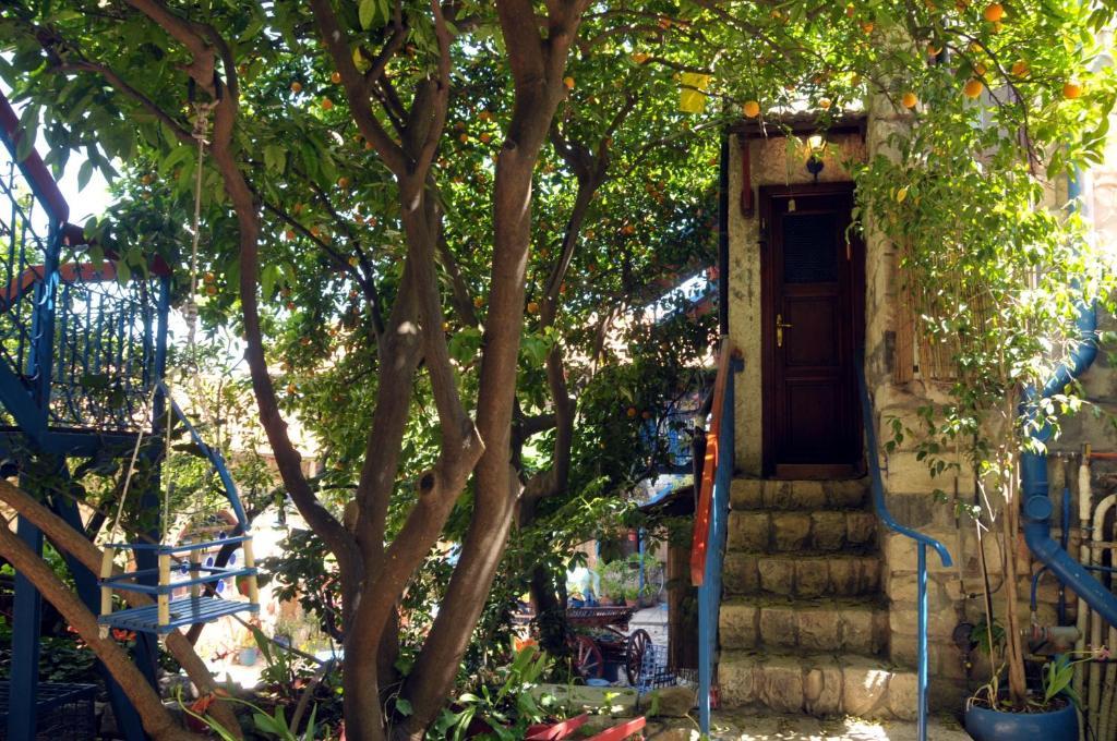 Villa Tehila - By V Club Chain Rosh Pinna Εξωτερικό φωτογραφία