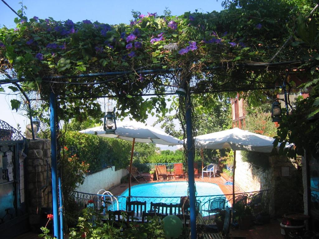Villa Tehila - By V Club Chain Rosh Pinna Εξωτερικό φωτογραφία